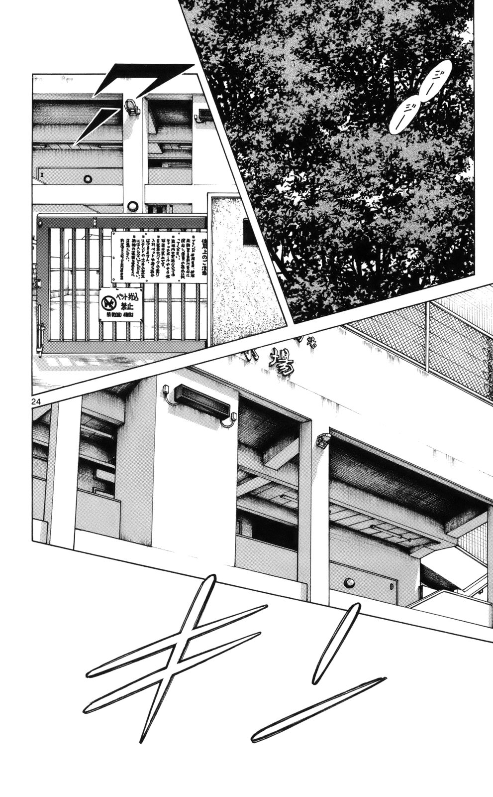 P24