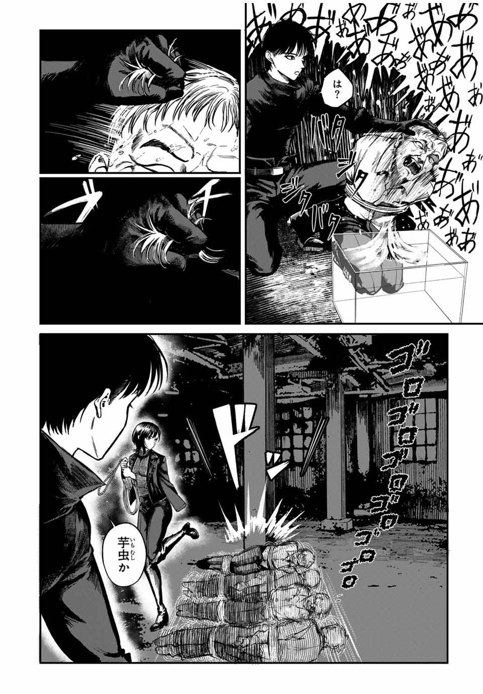 P6