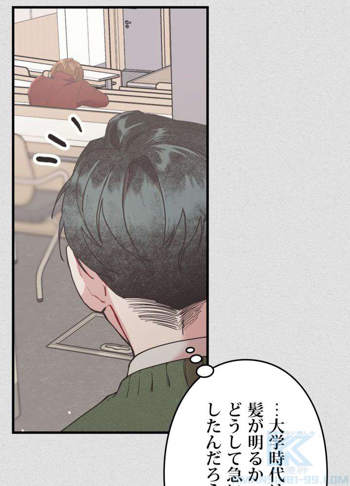 P61