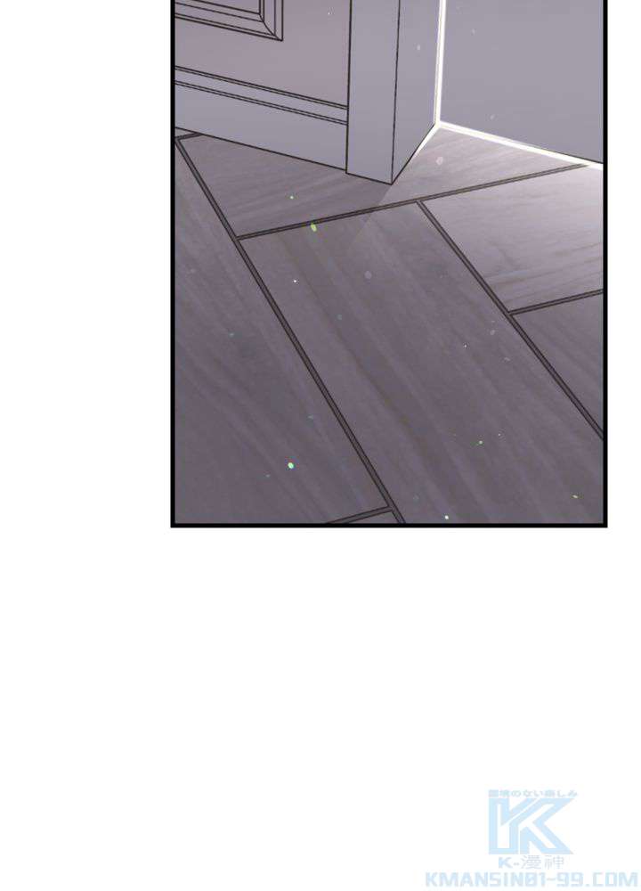 P58