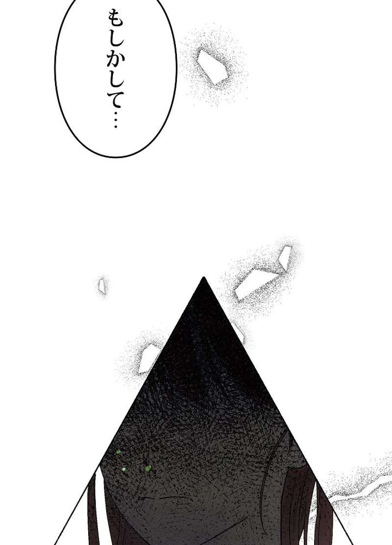 P63