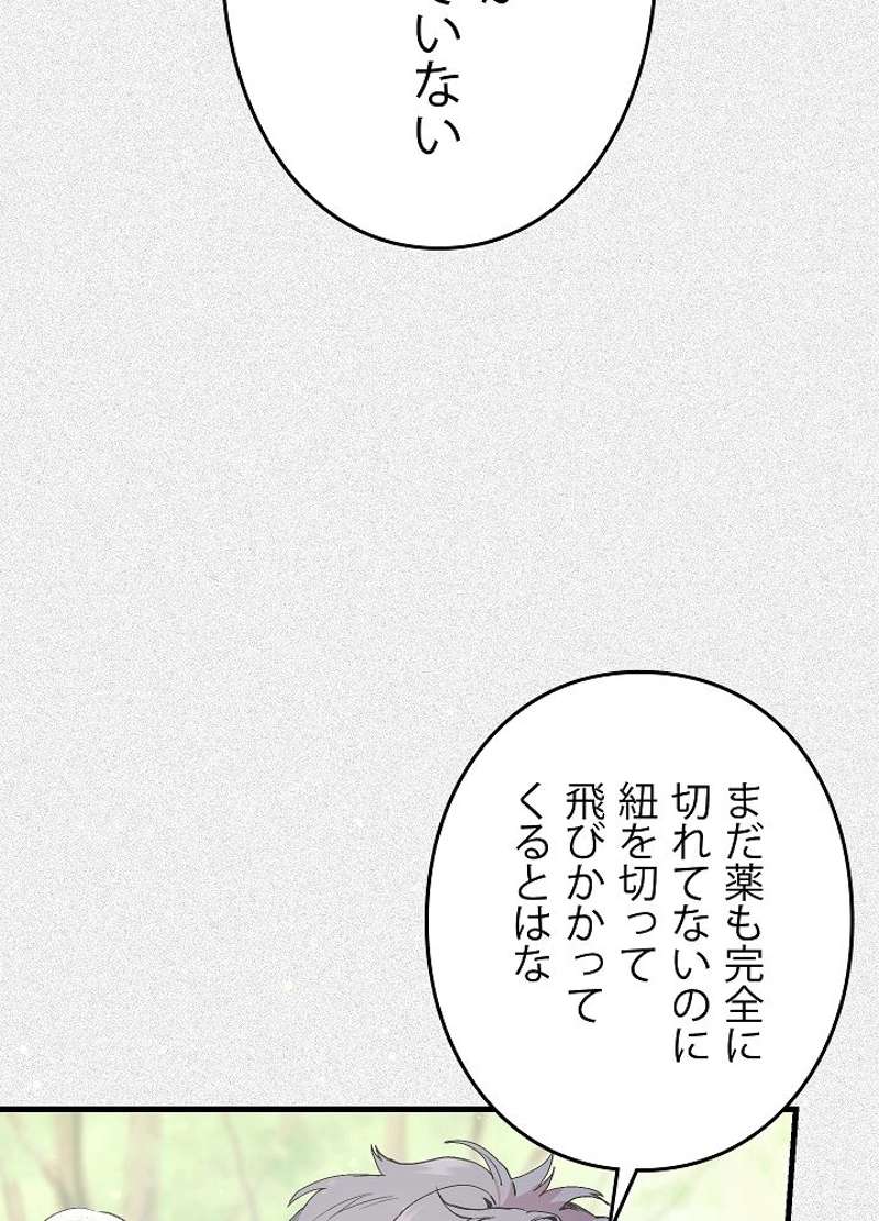 P66