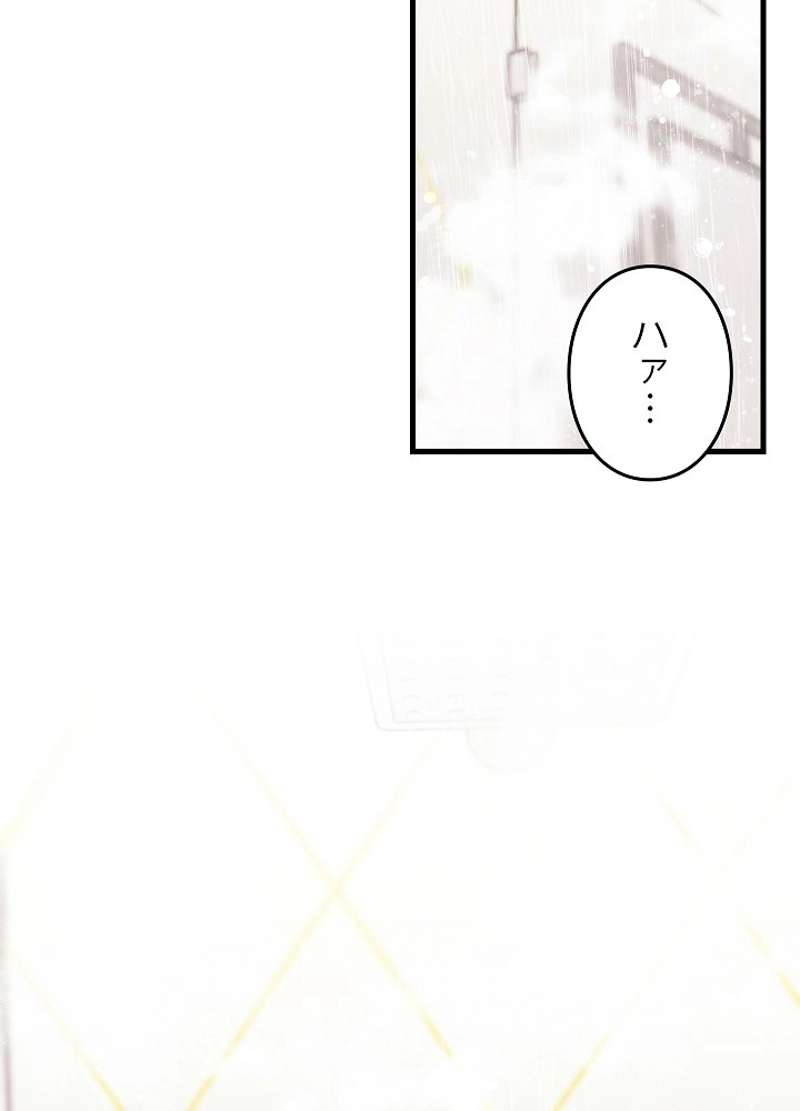 P24