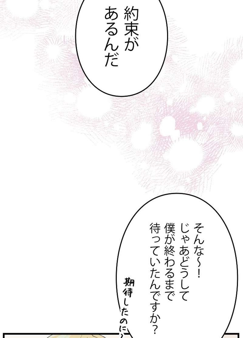 P66