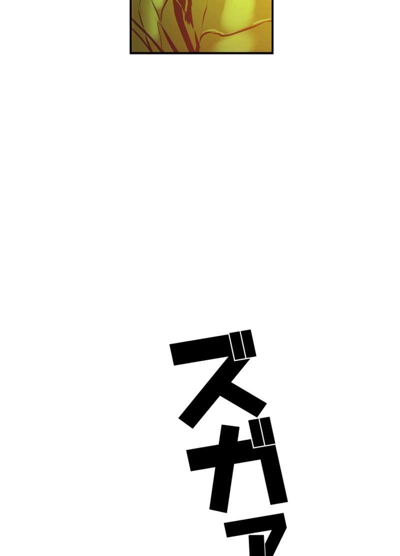 P66