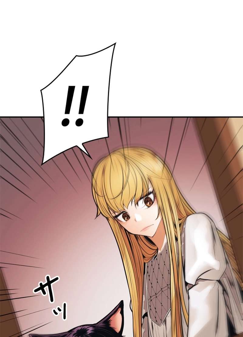 P44