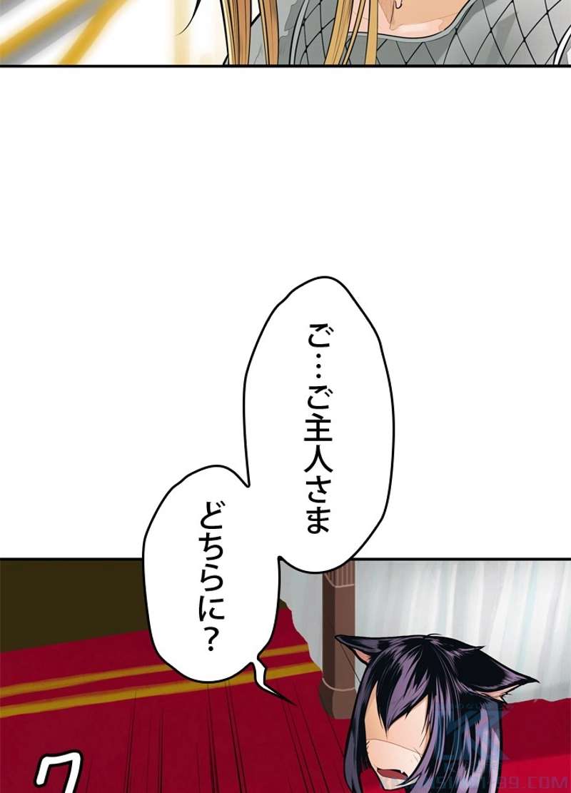 P61