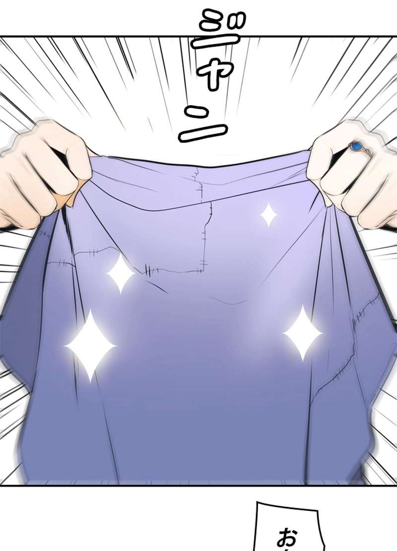 P66