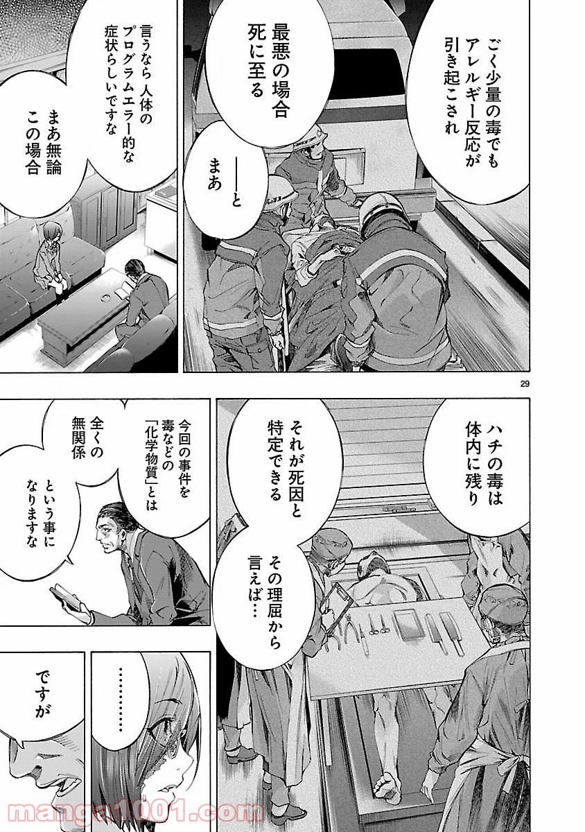 P29