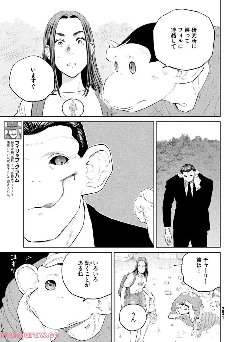 P23