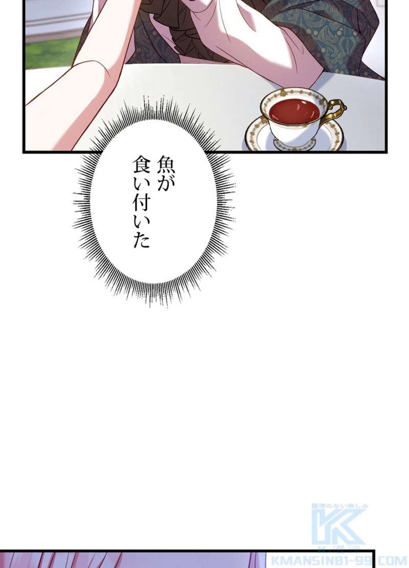P61