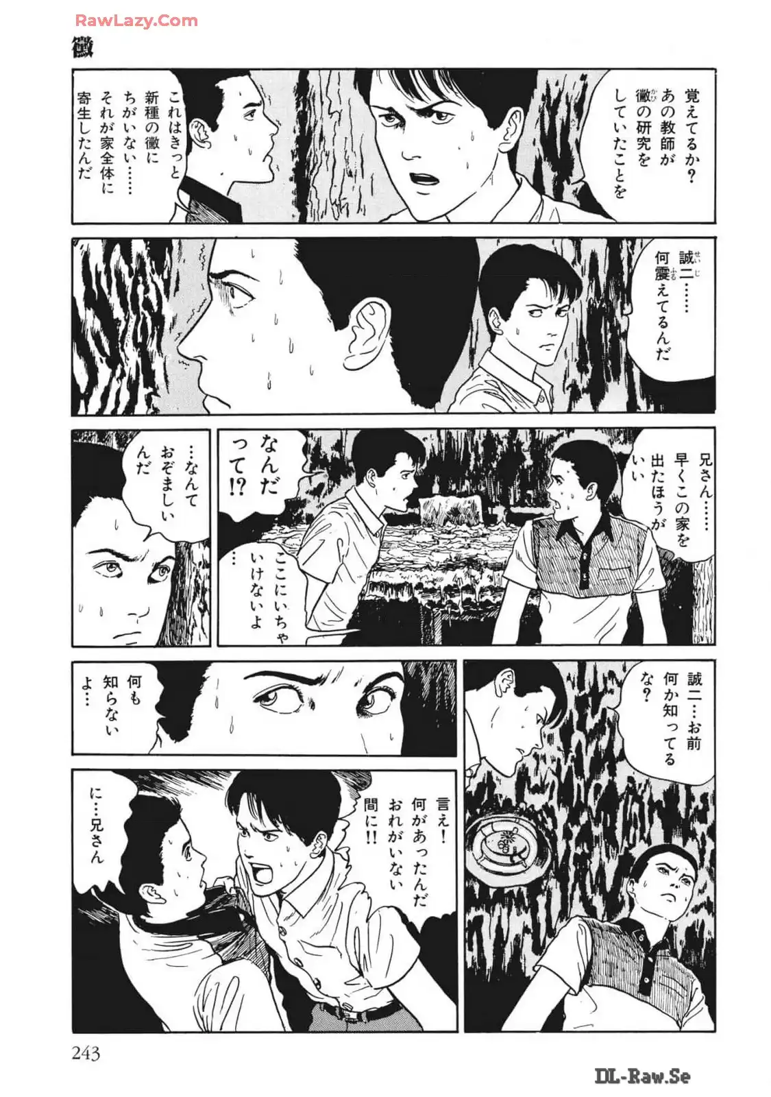 P29