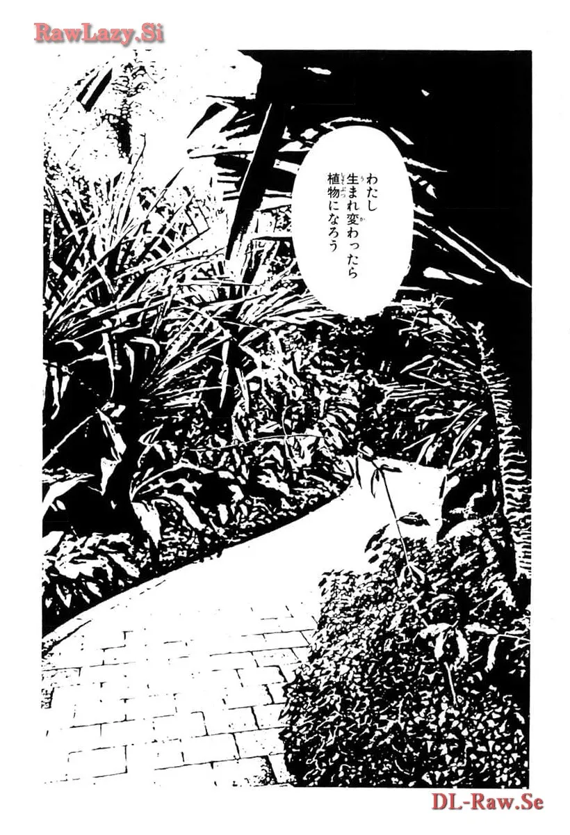 P52