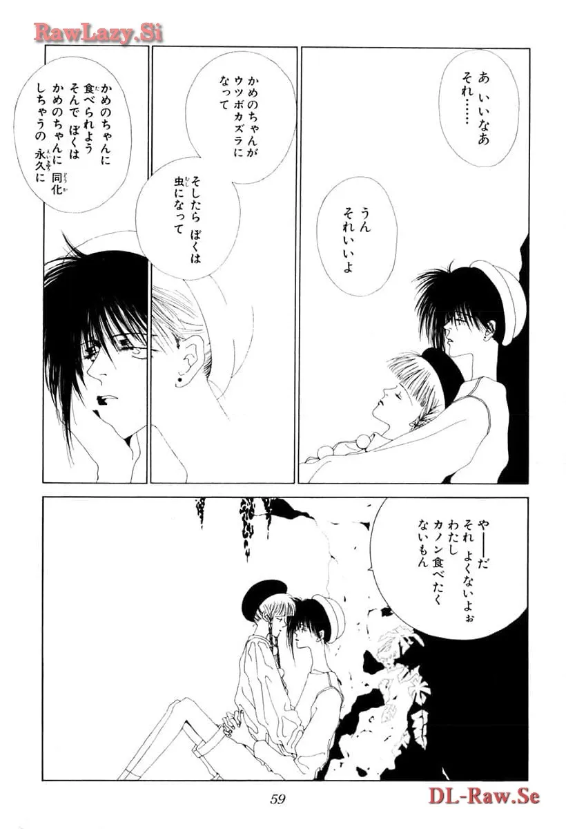 P53