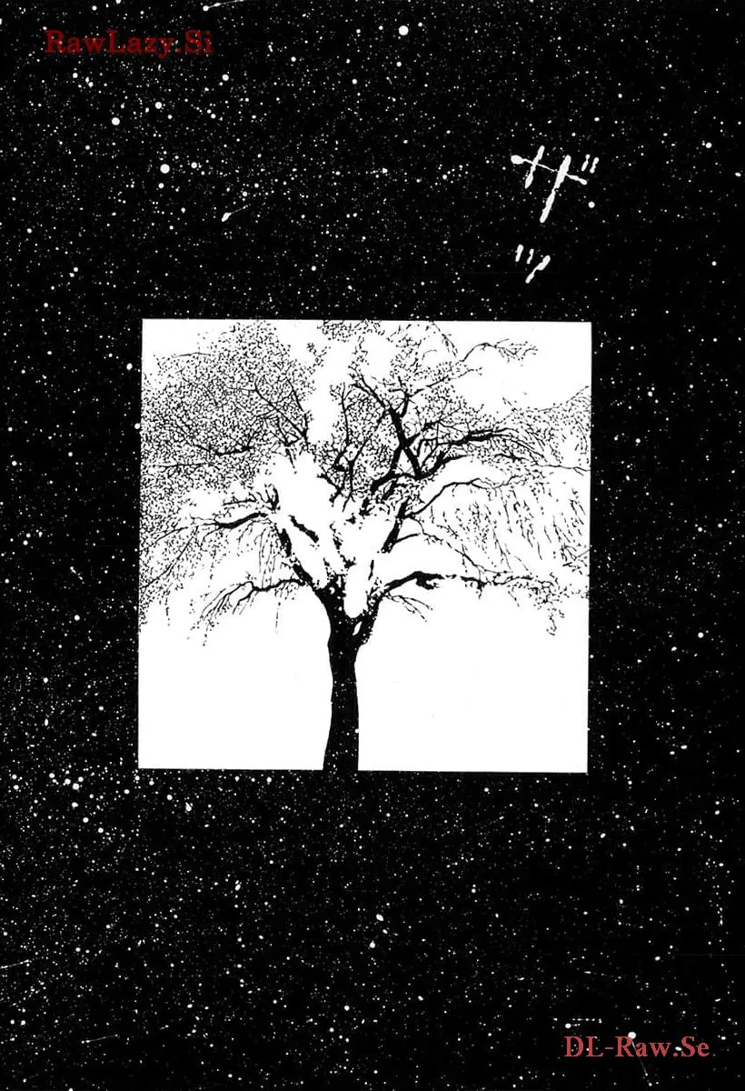 P64