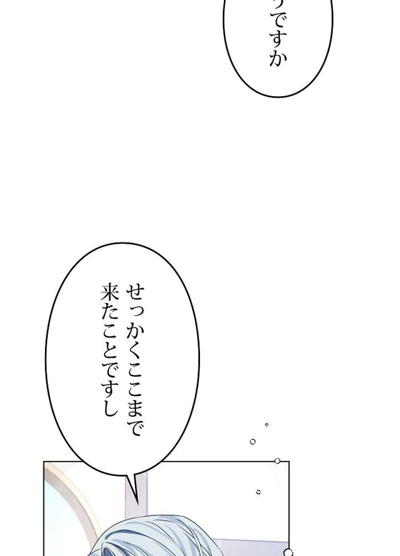P66