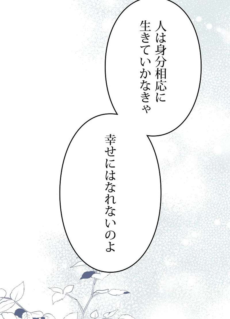 P63