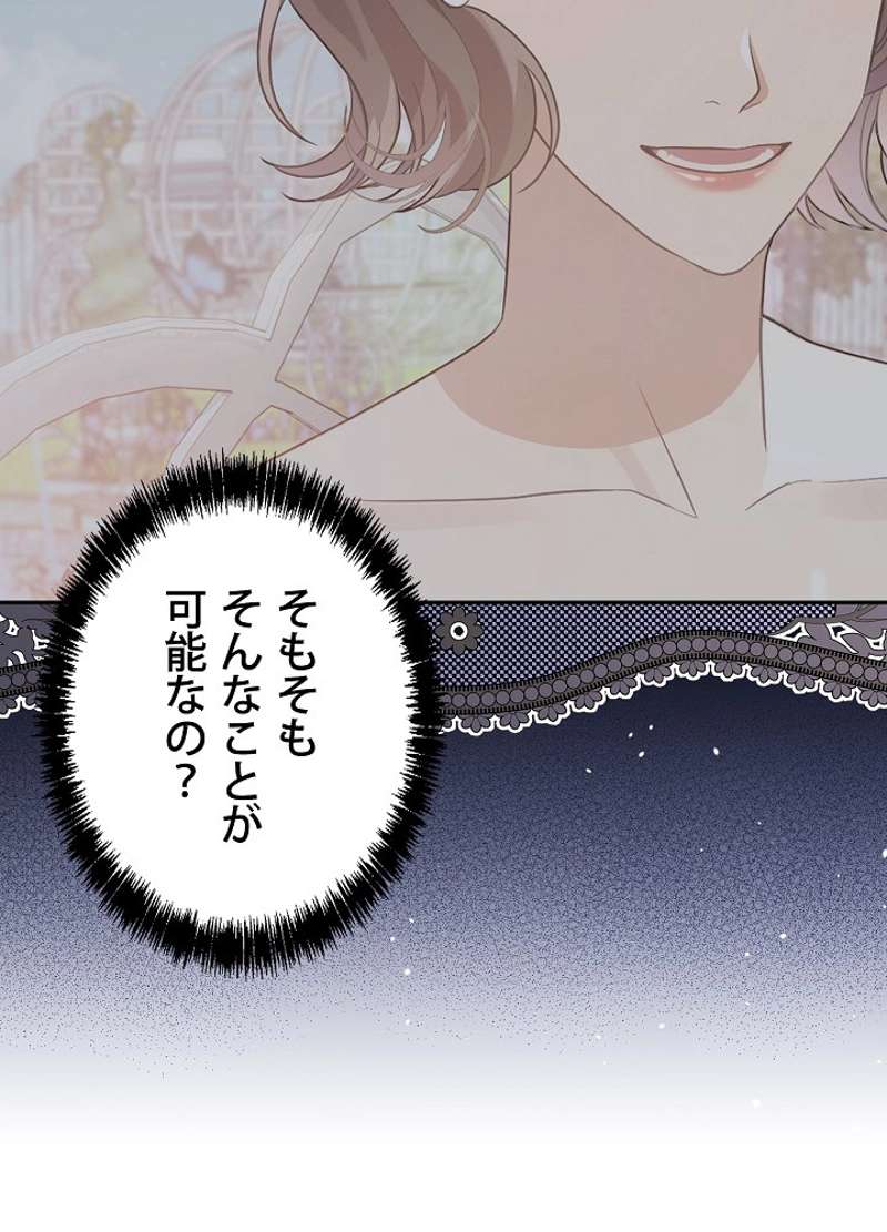 P65