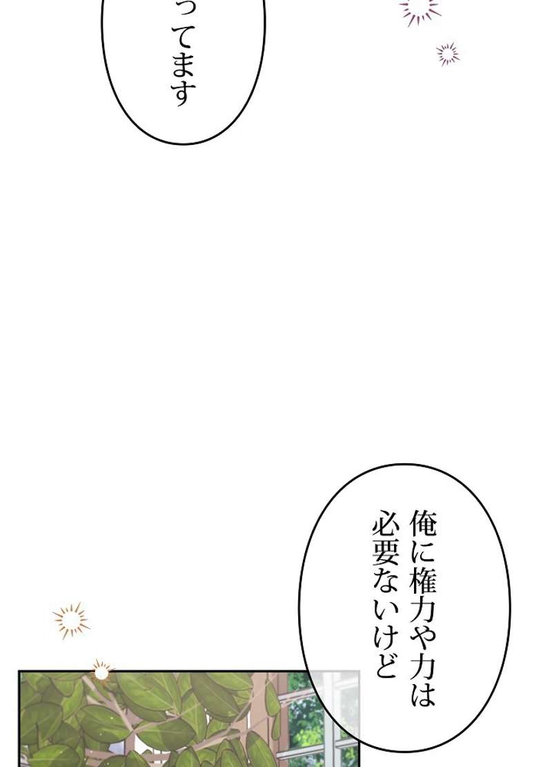 P66