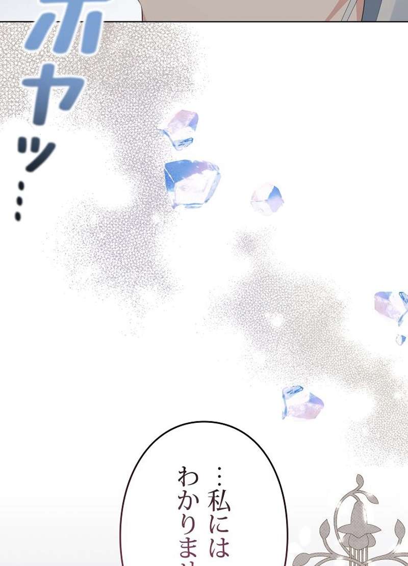 P24
