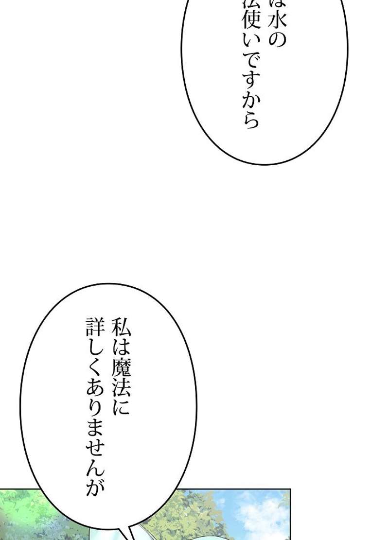 P53