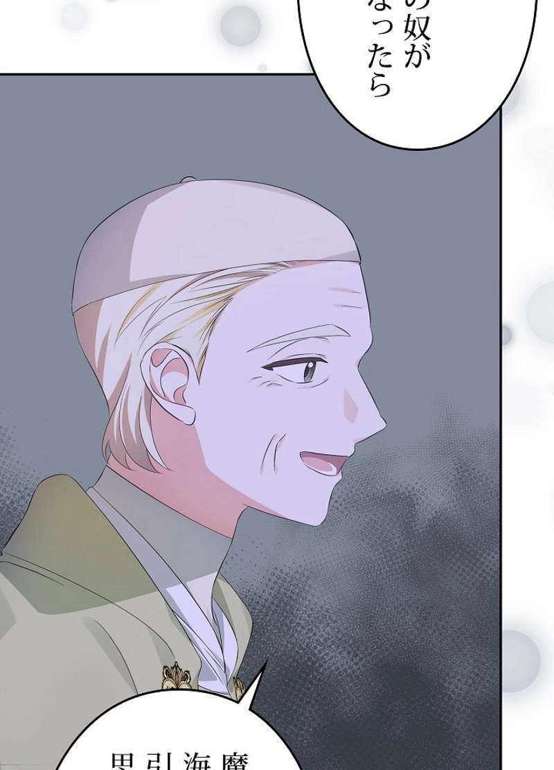 P66