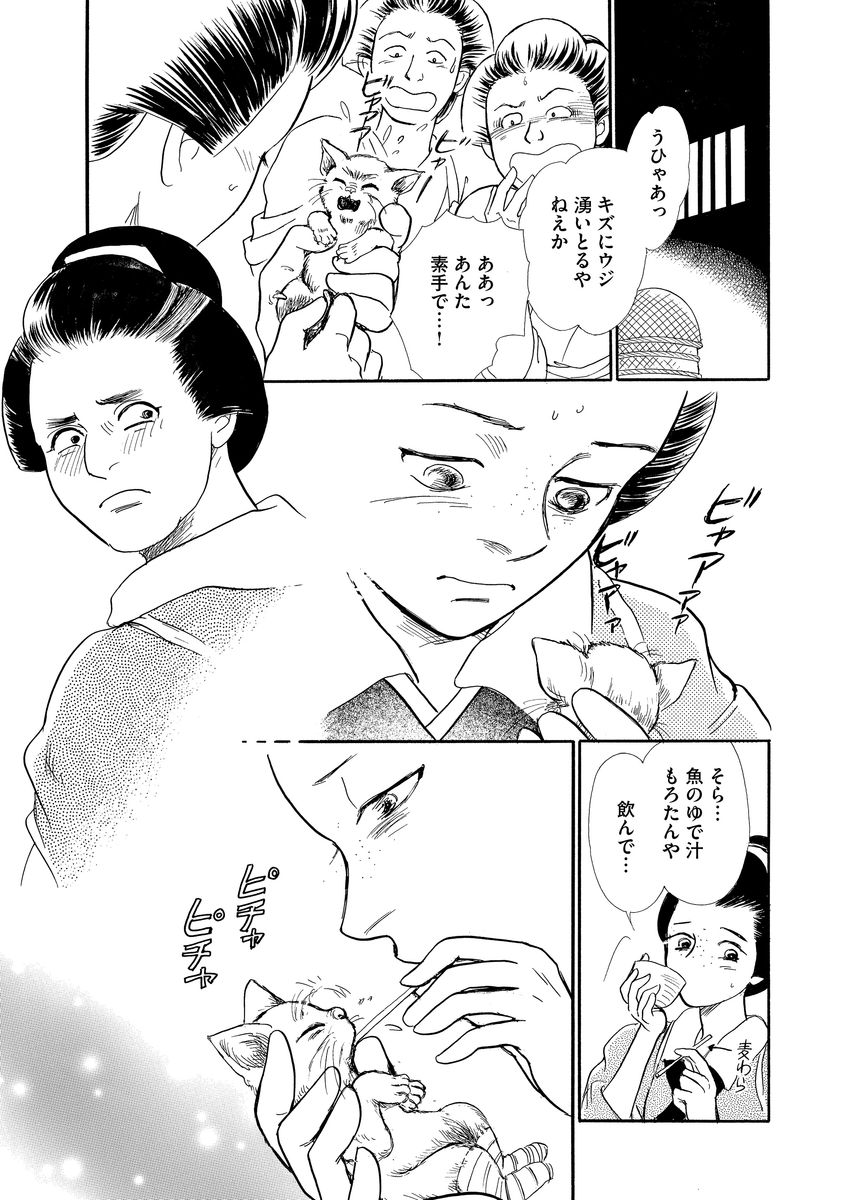 P29
