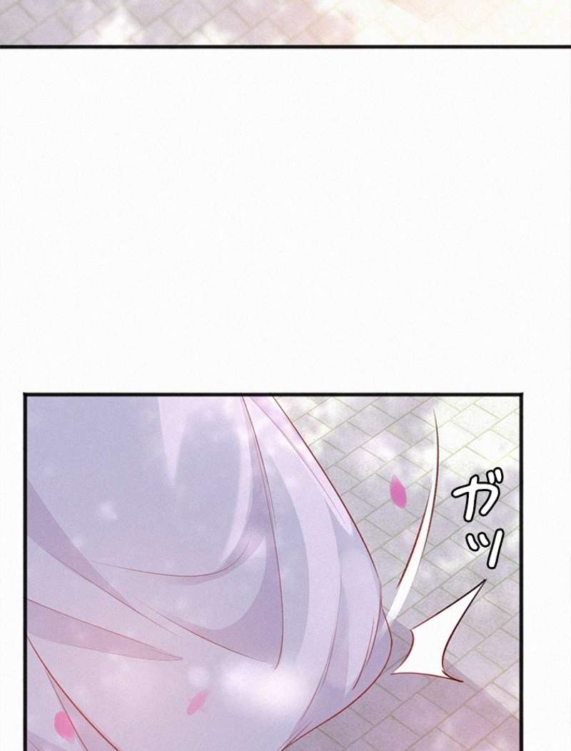 P44