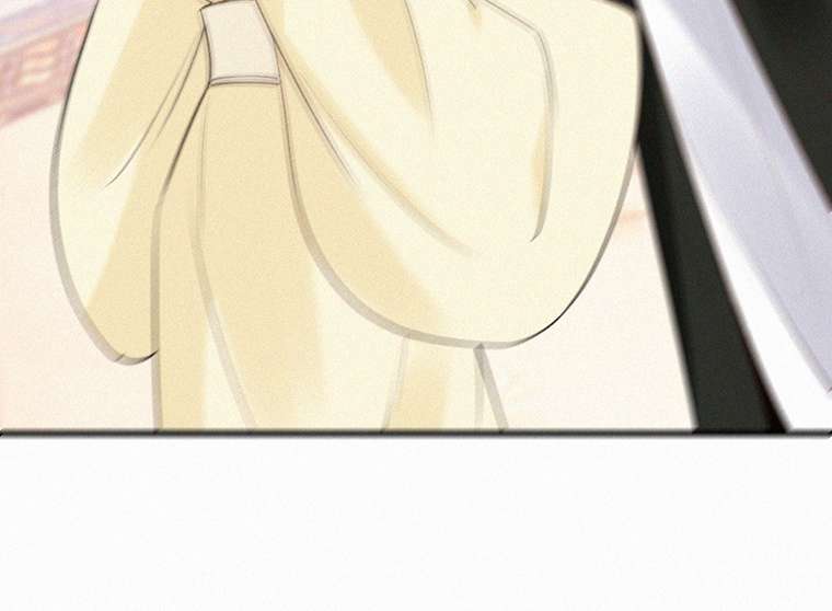 P53