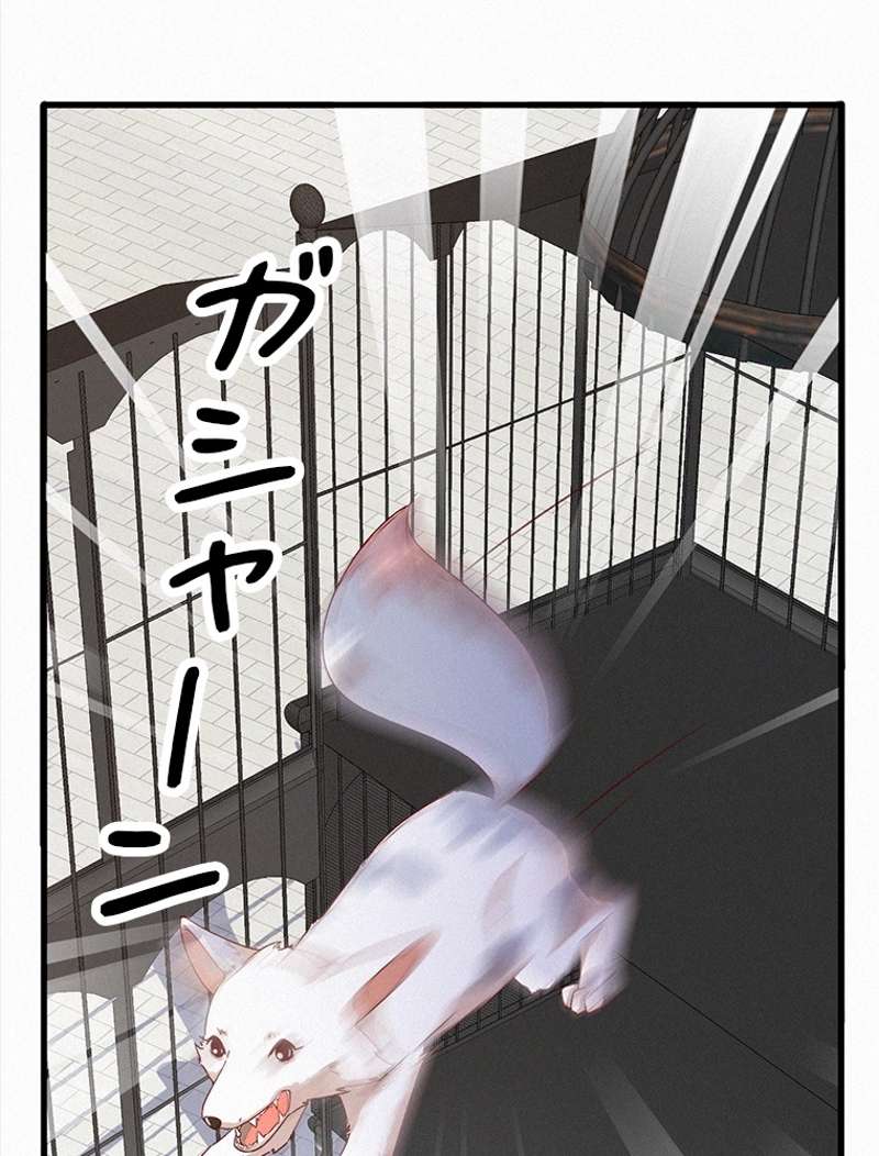 P41