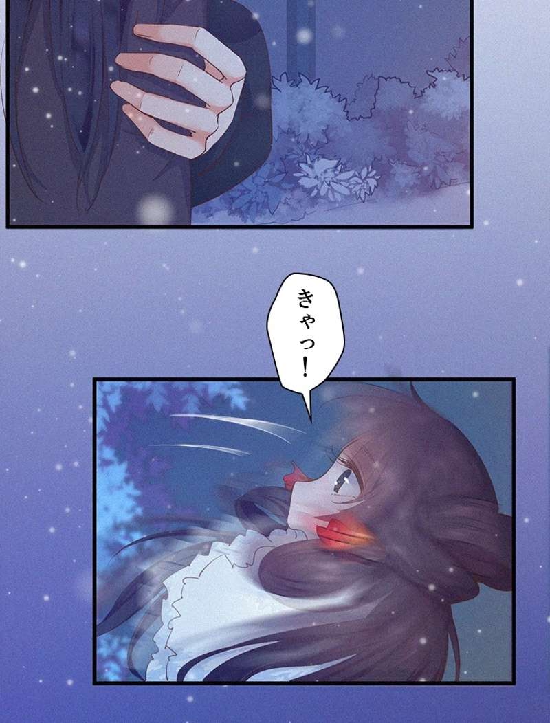 P58