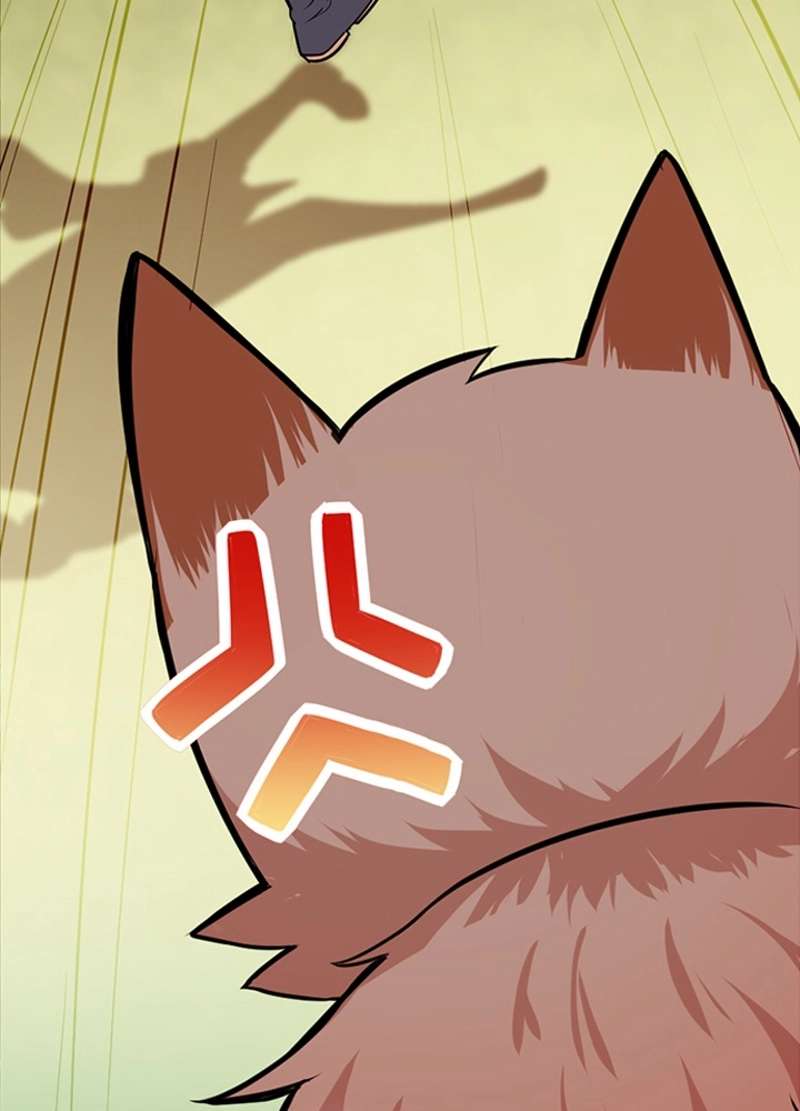 P46