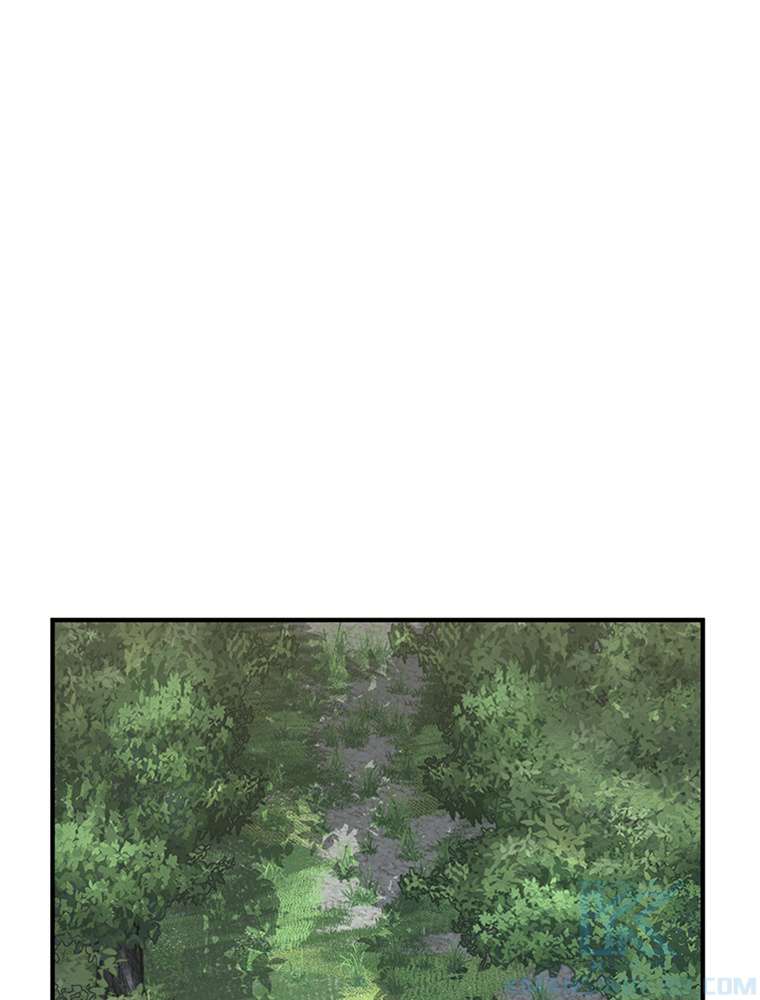 P46