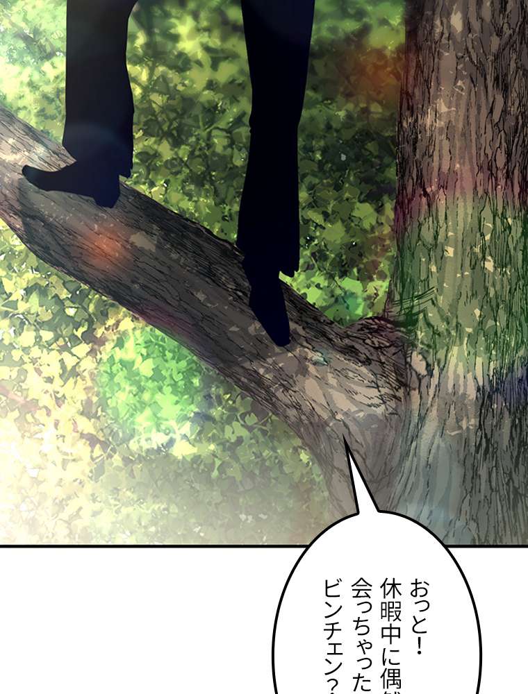 P66