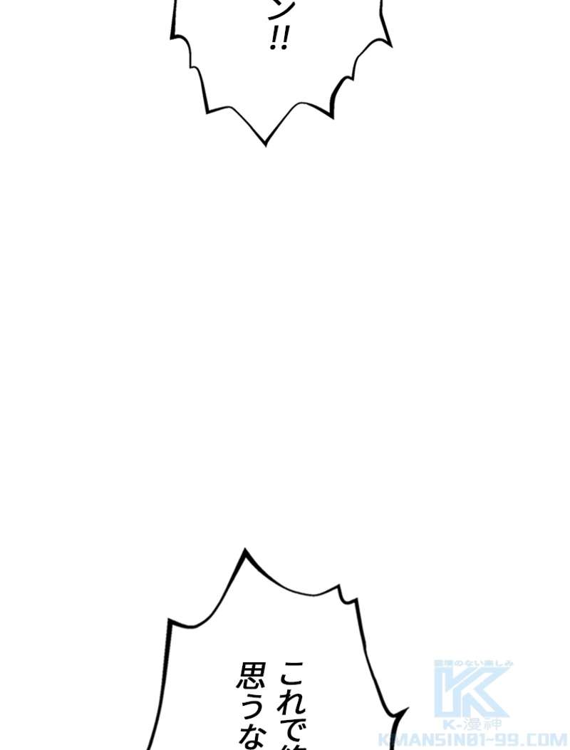 P133