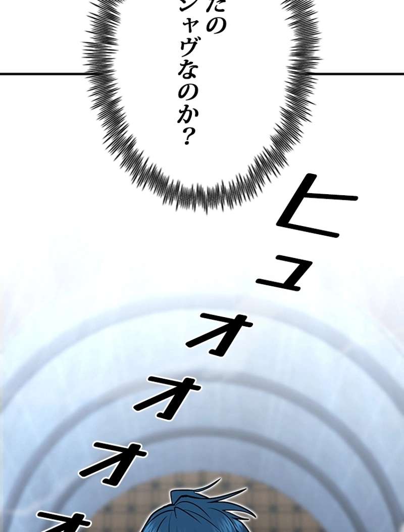 P63
