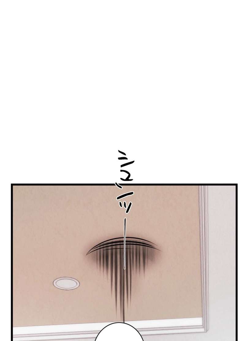 P53
