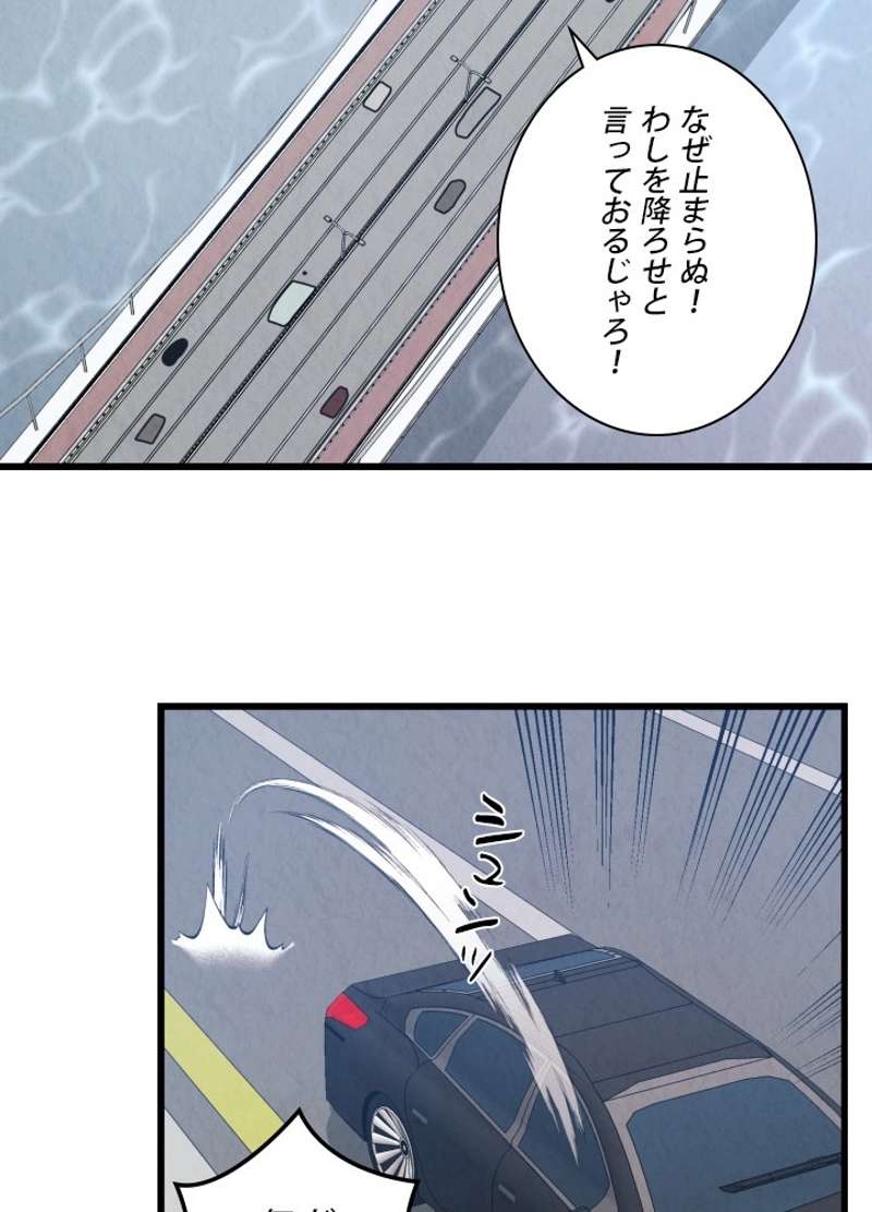 P61