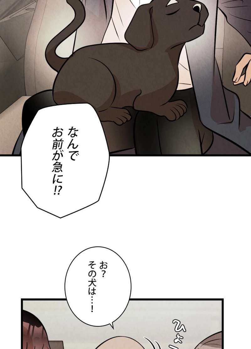 P63