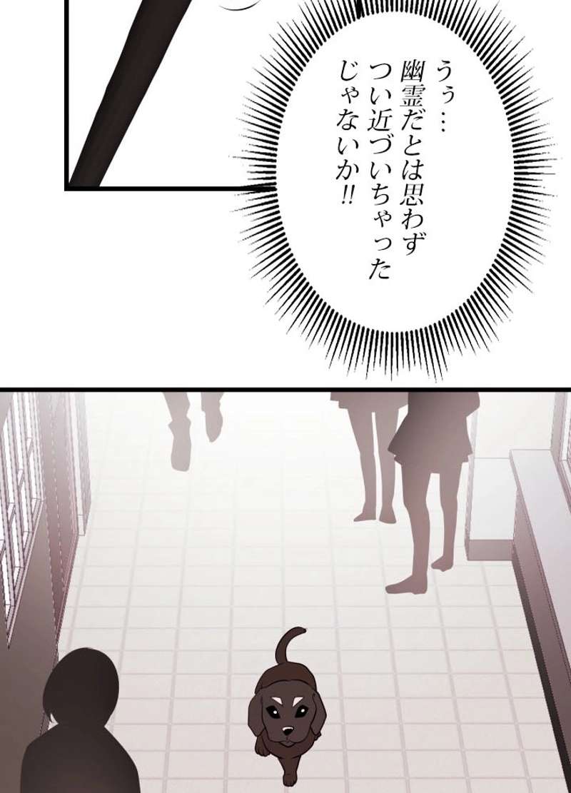 P64