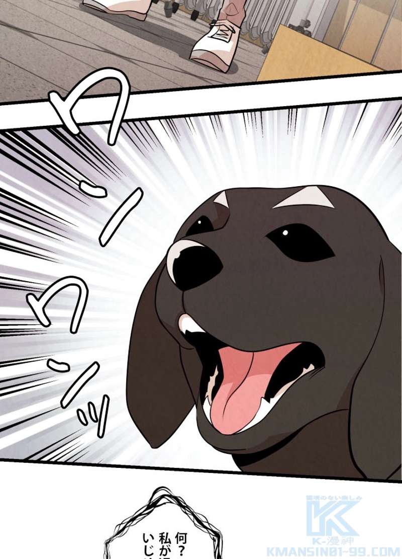 P53
