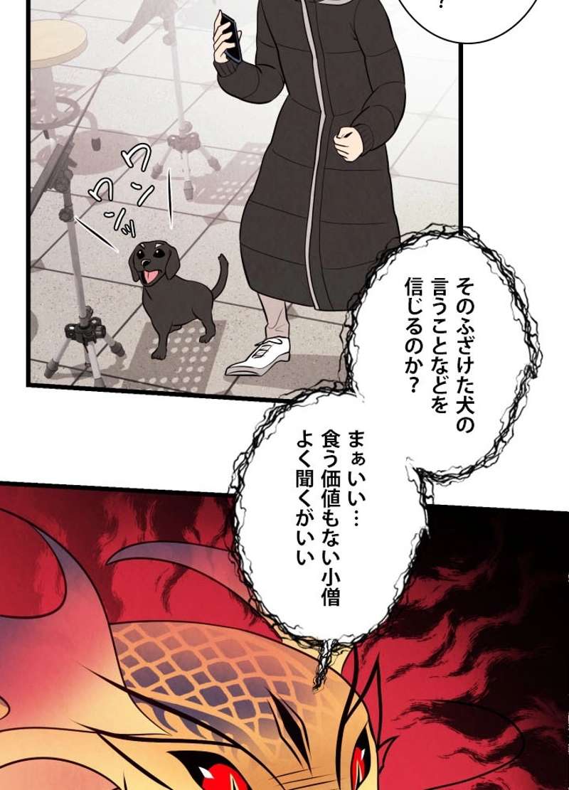 P55
