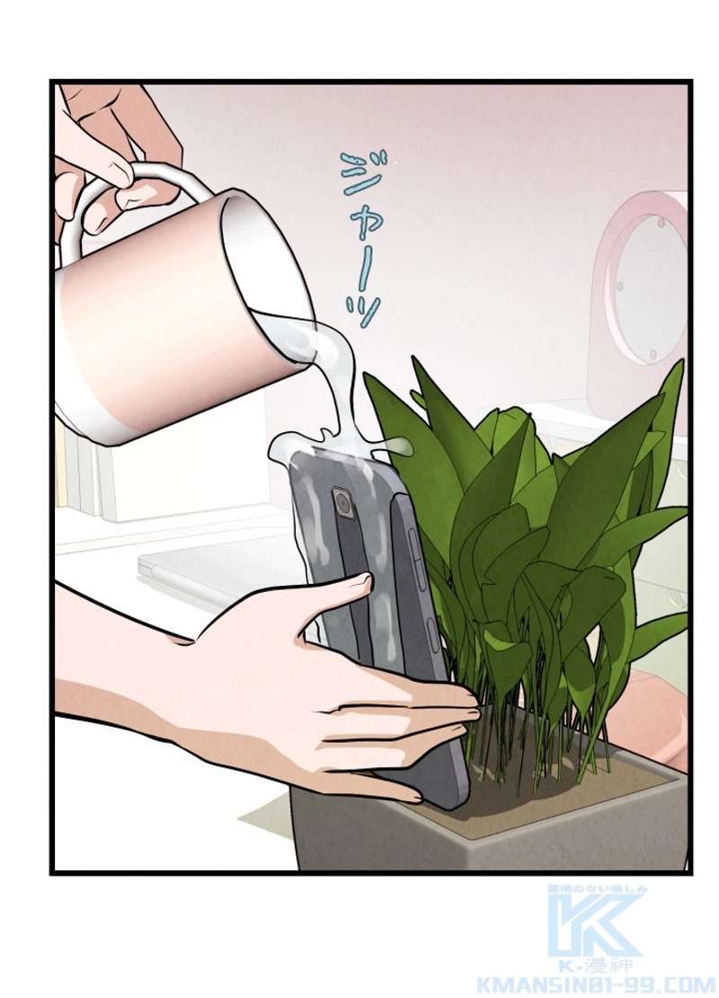 P55