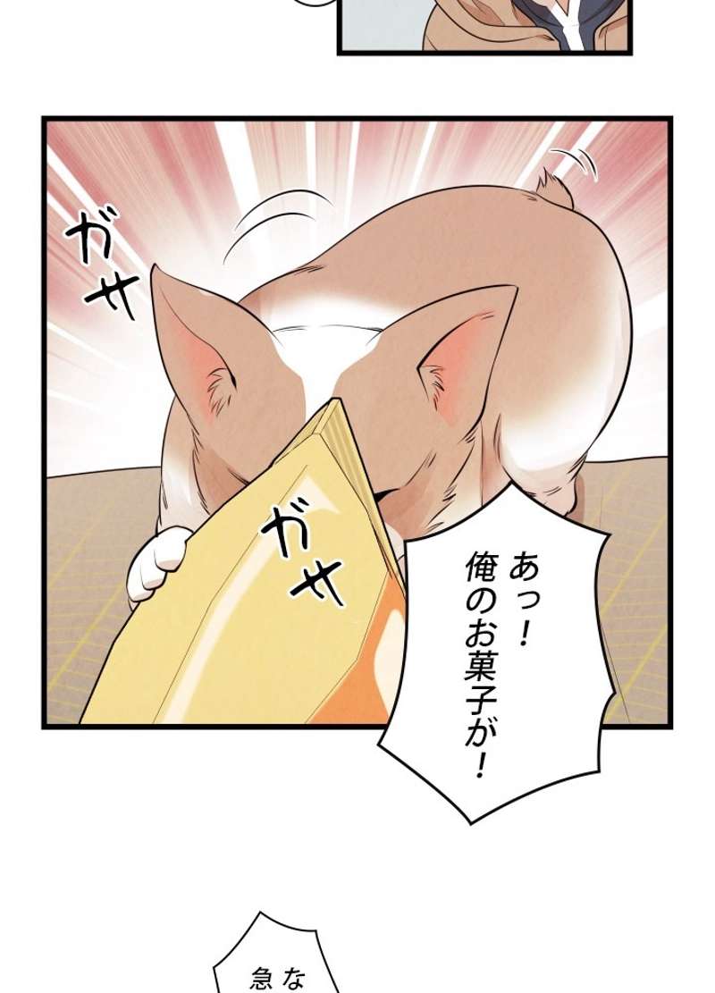 P39