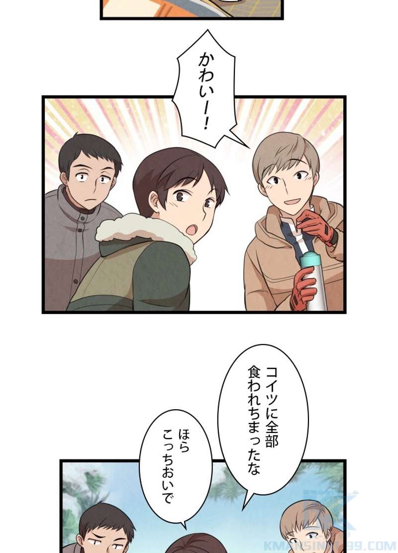 P41