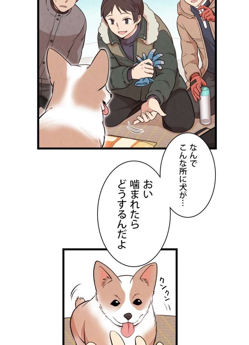 P42