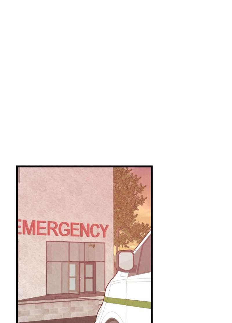 P66