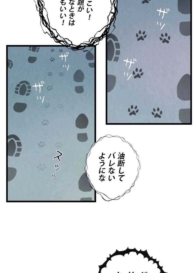 P46