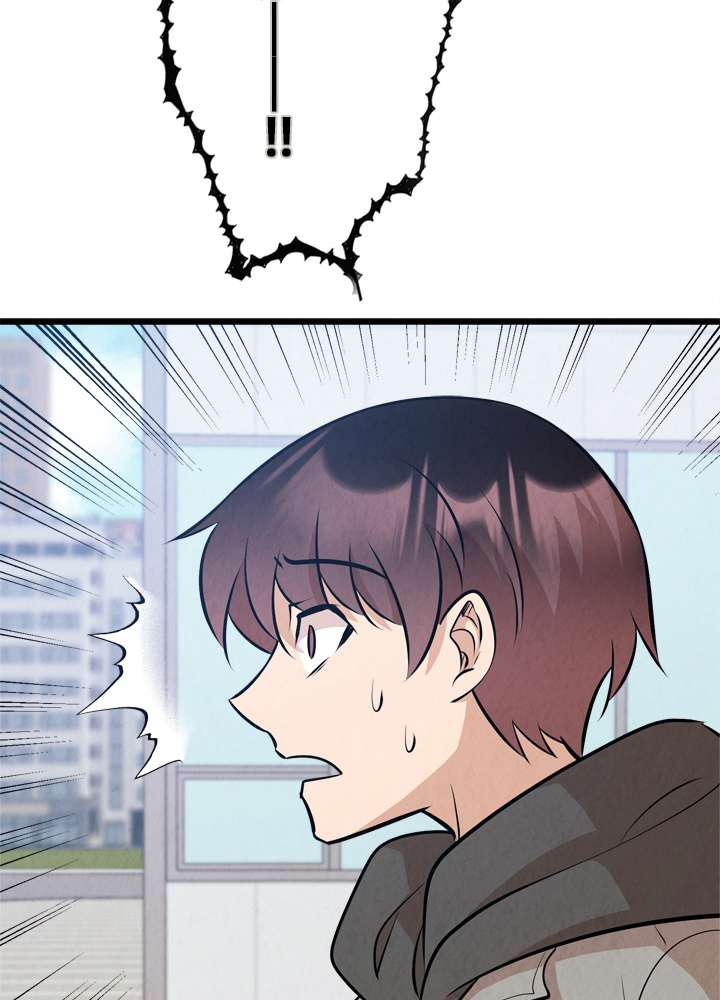 P113