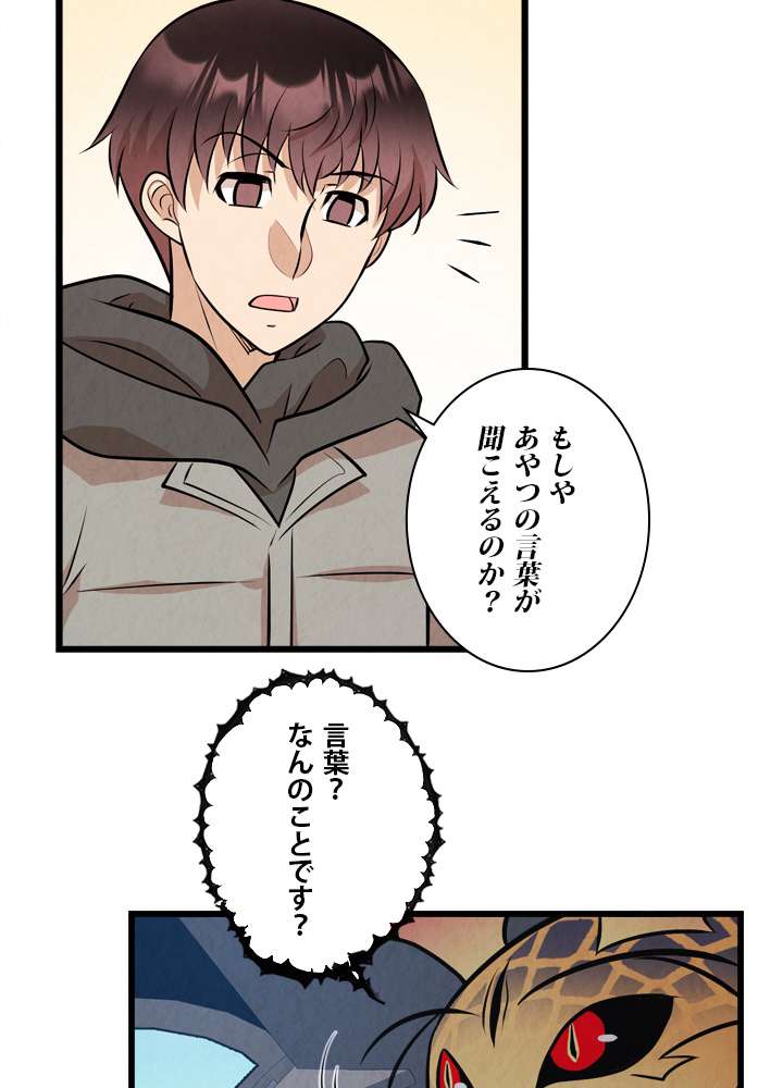 P48